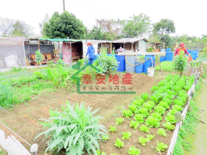 大溪儲蓄新村農地